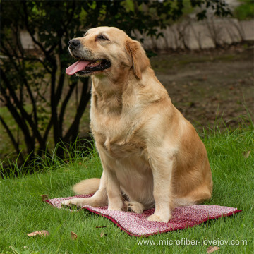 Super absorbent fiber chenille pet bath towel